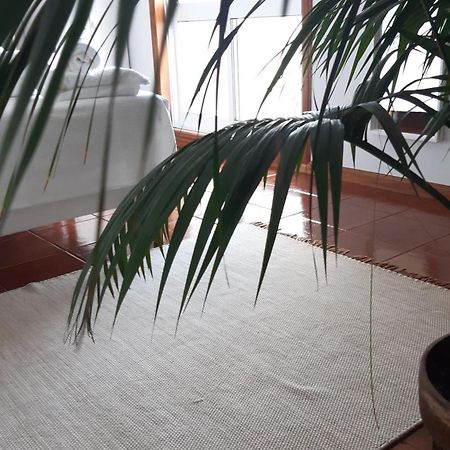 Sun & Sand Guesthouse Esposende Luaran gambar